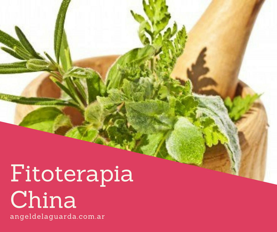 Curso Online de Fitoterapia China